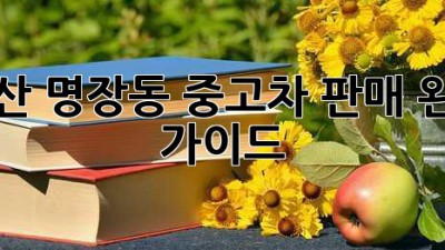 부산 명장동 중고차 판매, 완벽 가이드!