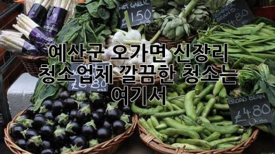 예산군 오가면 신장리 청소업체, 깔끔한 청소는 여기서!